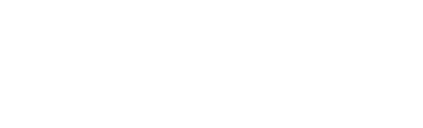 NFF Logo